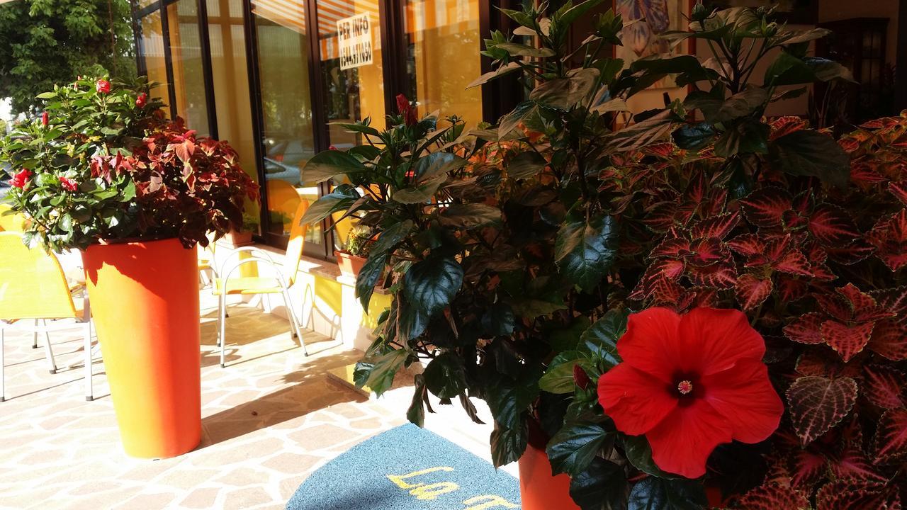Hotel La Falena Cervia Dış mekan fotoğraf